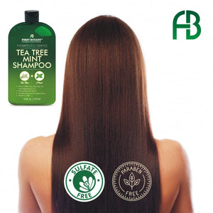 Tea Tree Oil Shampoo 16 fl oz - Anti Dandruff Shampoo Natural Essential Oil For Dry Itchy & Flaky Scalp - Sulfate Free, Anti-fungal, Anti-Bacterial Cleanser - Prevents Head Lice & Thinning