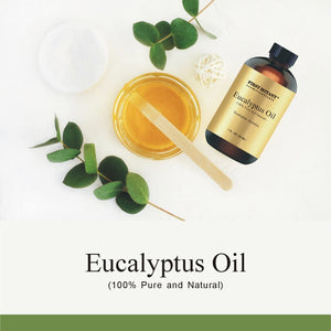 100% Pure Eucalyptus Oil - Premium Eucalyptus Essential Oil for Aromatherapy, Massage, Topical & Household Uses - 1 fl oz (Eucalyptus)