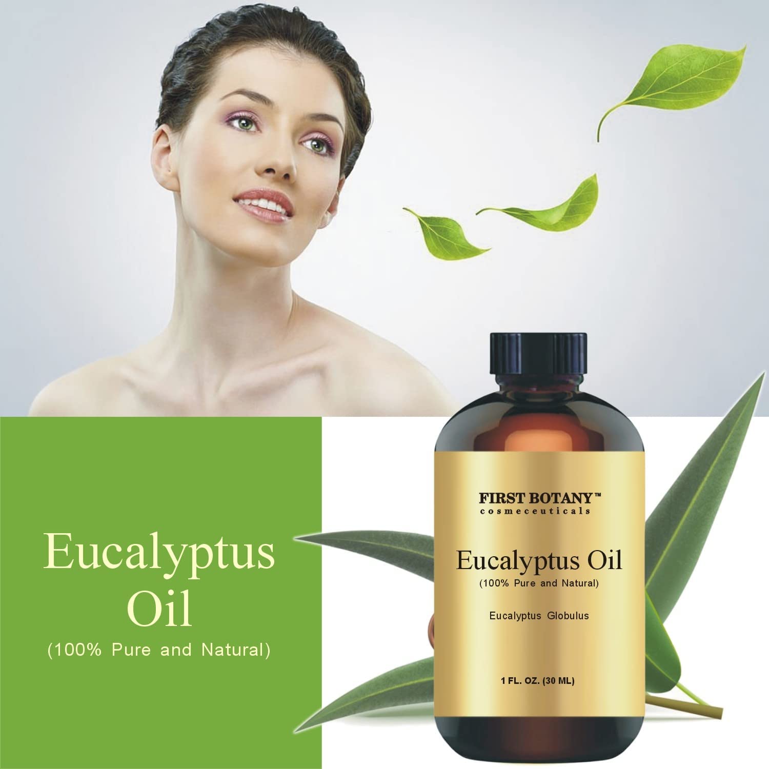 Eucalyptus Globulus Oil, Shop NOW Eucalyptus Oil