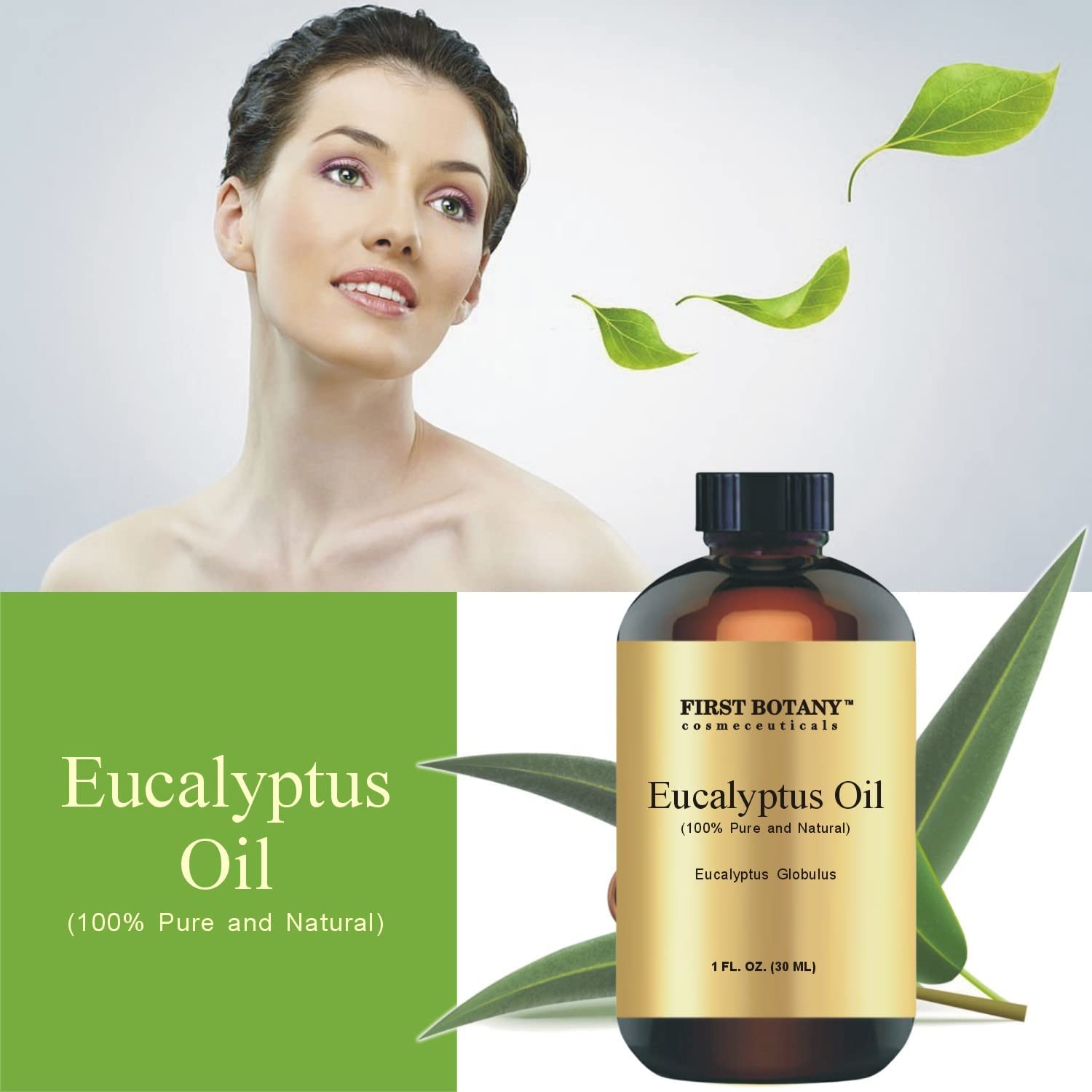 100% Pure Eucalyptus Oil - Premium Eucalyptus Essential Oil for Aromatherapy, Massage, Topical & Household Uses - 1 fl oz (Eucalyptus)