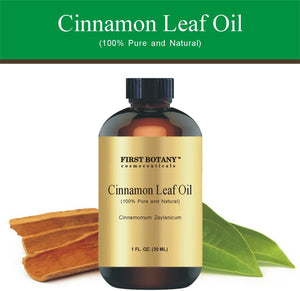 100% Pure Cinnamon Essential Oil - Premium Cinnamon Oil for Aromatherapy, Massage, Topical & Household Uses - 1 fl oz (Cinnamon)