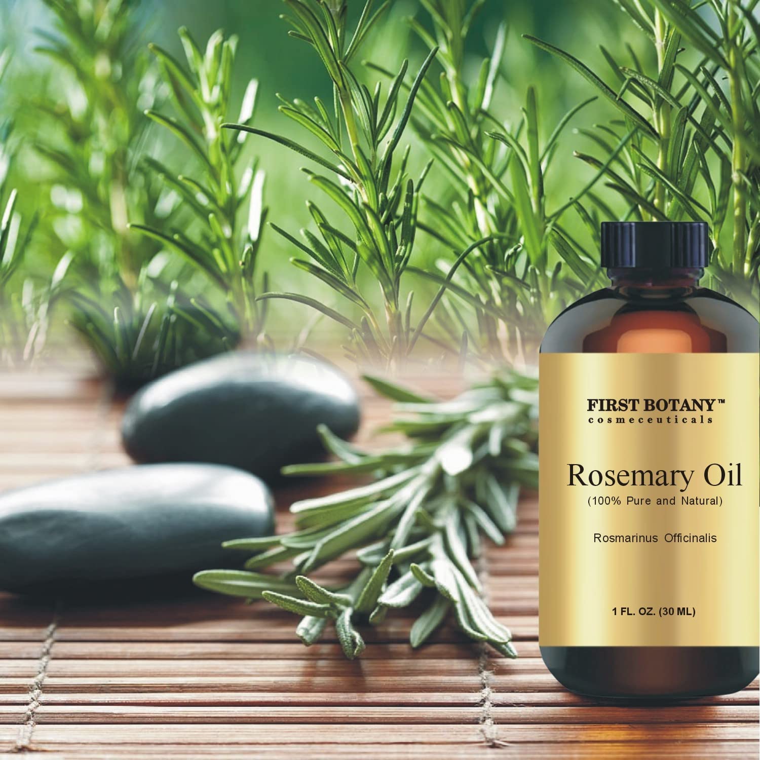 100% Pure Rosemary Essential Oil - Premium Rosemary Oil for Aromatherapy, Massage, Topical & Household Uses - 1 fl oz (Rosemary)