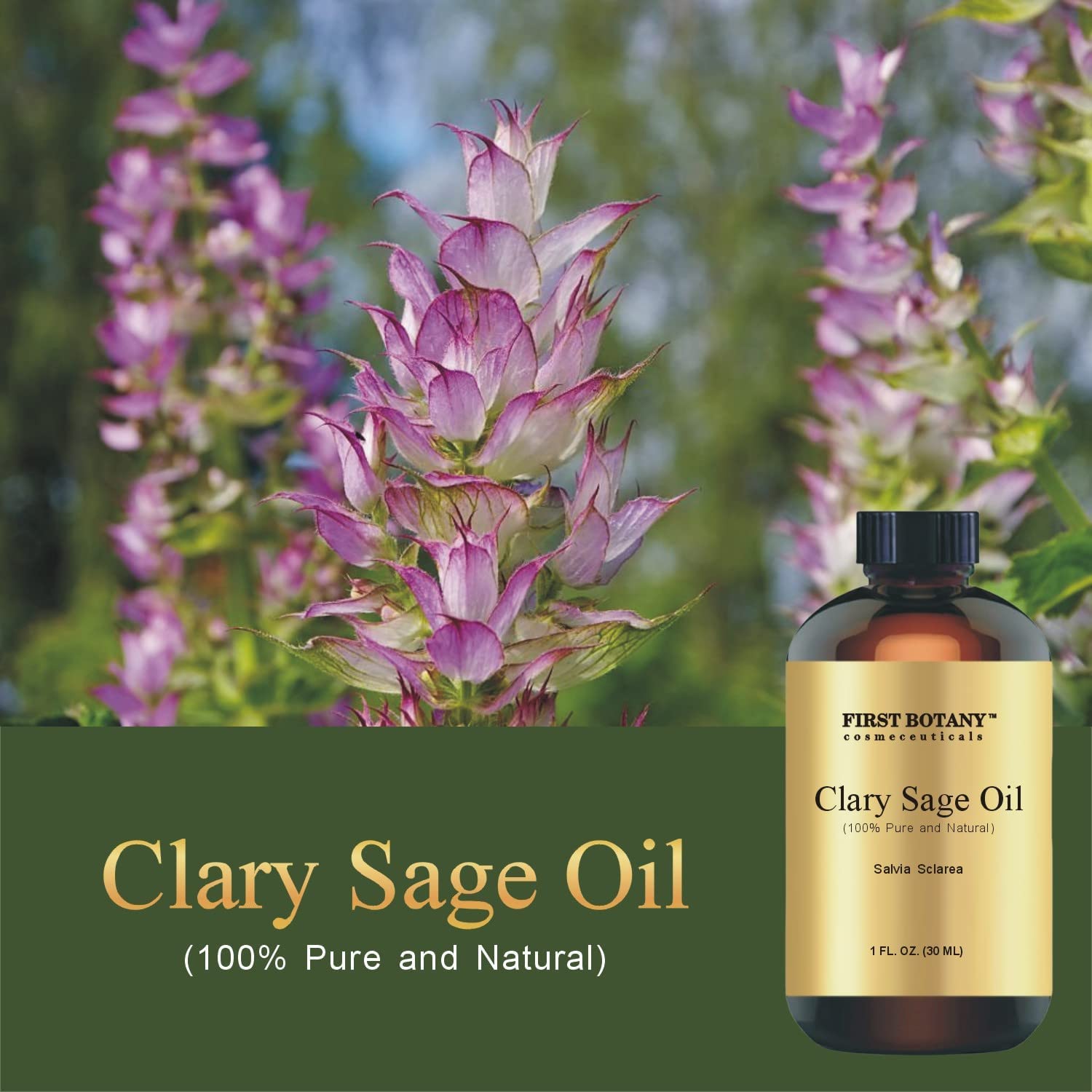 100% Clary Sage Pure Essential Oil - Premium Clary Sage Oil for Aromatherapy, Massage, Topical & Household Uses - 1 fl oz (Clary Sage)