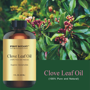 100% Pure Clove Essential Oil - Premium Clove Oil for Aromatherapy, Massage, Topical & Household Uses - 1 fl oz (Clove)