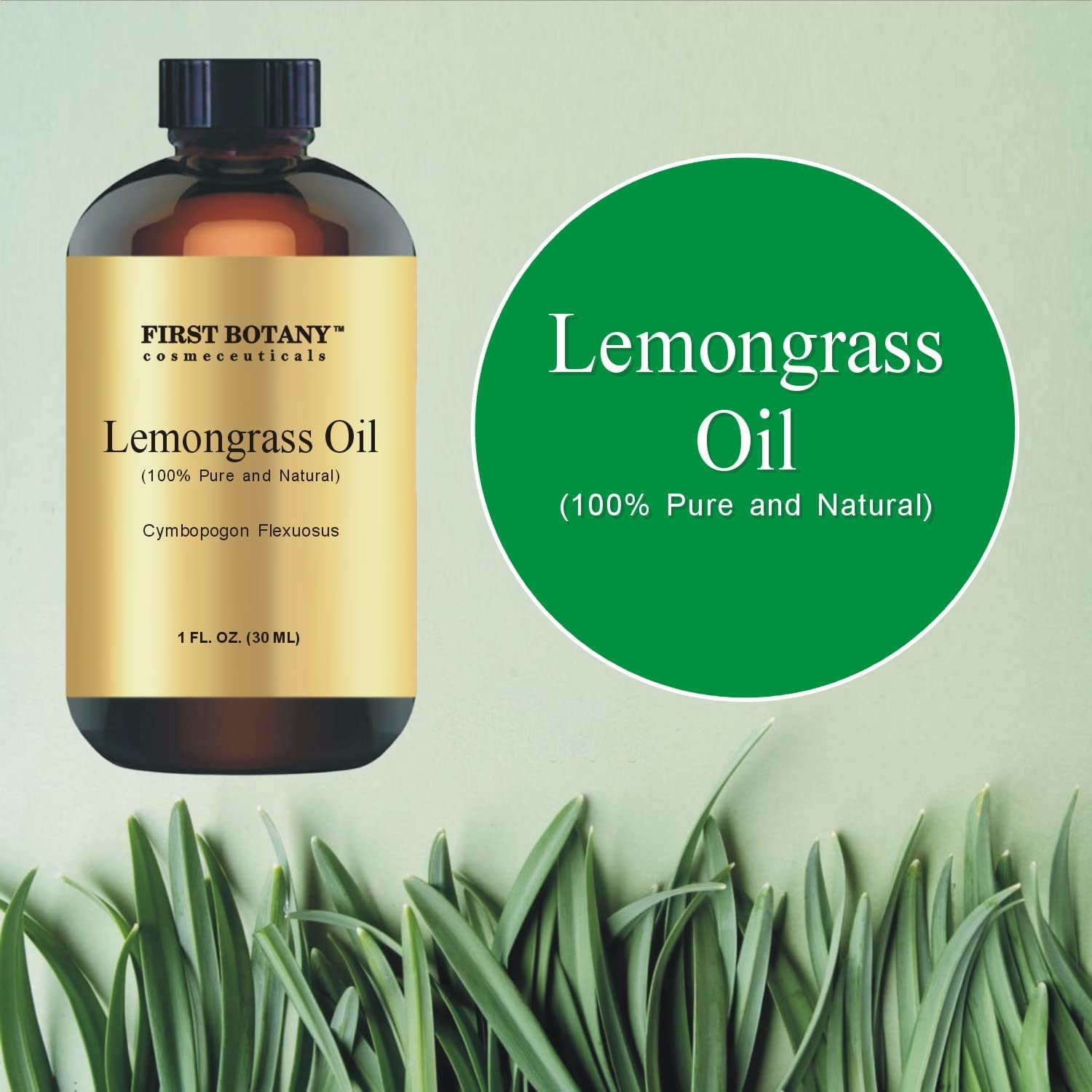 100% Pure Lemongrass Essential Oil - Premium Lemongrass Oil for Aromatherapy, Massage, Topical & Household Uses - 1 fl oz (Lemongrass)