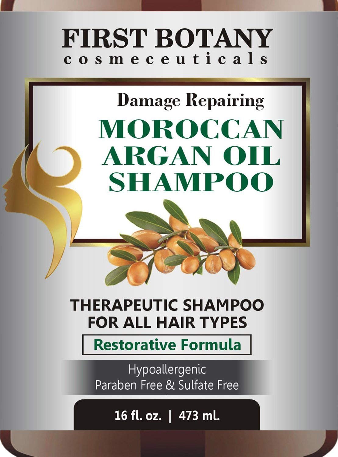 Moroccan Argan Oil Shampoo with Restorative Formula 16 fl. oz. Gentle & Sulfate Free for All Hair Types. Cleanses, Revives, Hydrates, Detangles Hair & Revitalizes the Scalp & Split-Ends